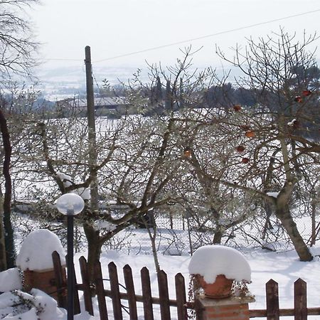 Belvedere Cramaccioli Vigne Exteriér fotografie