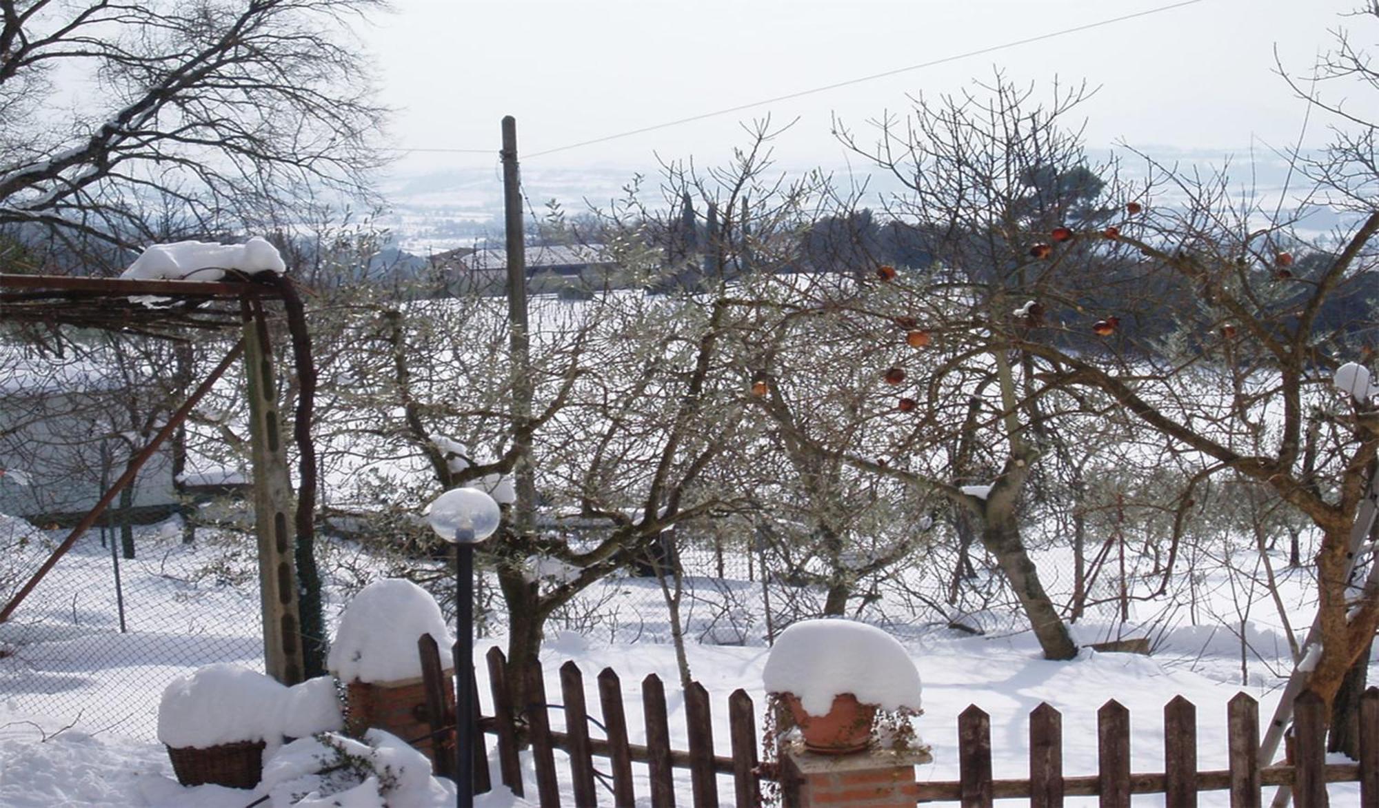 Belvedere Cramaccioli Vigne Exteriér fotografie
