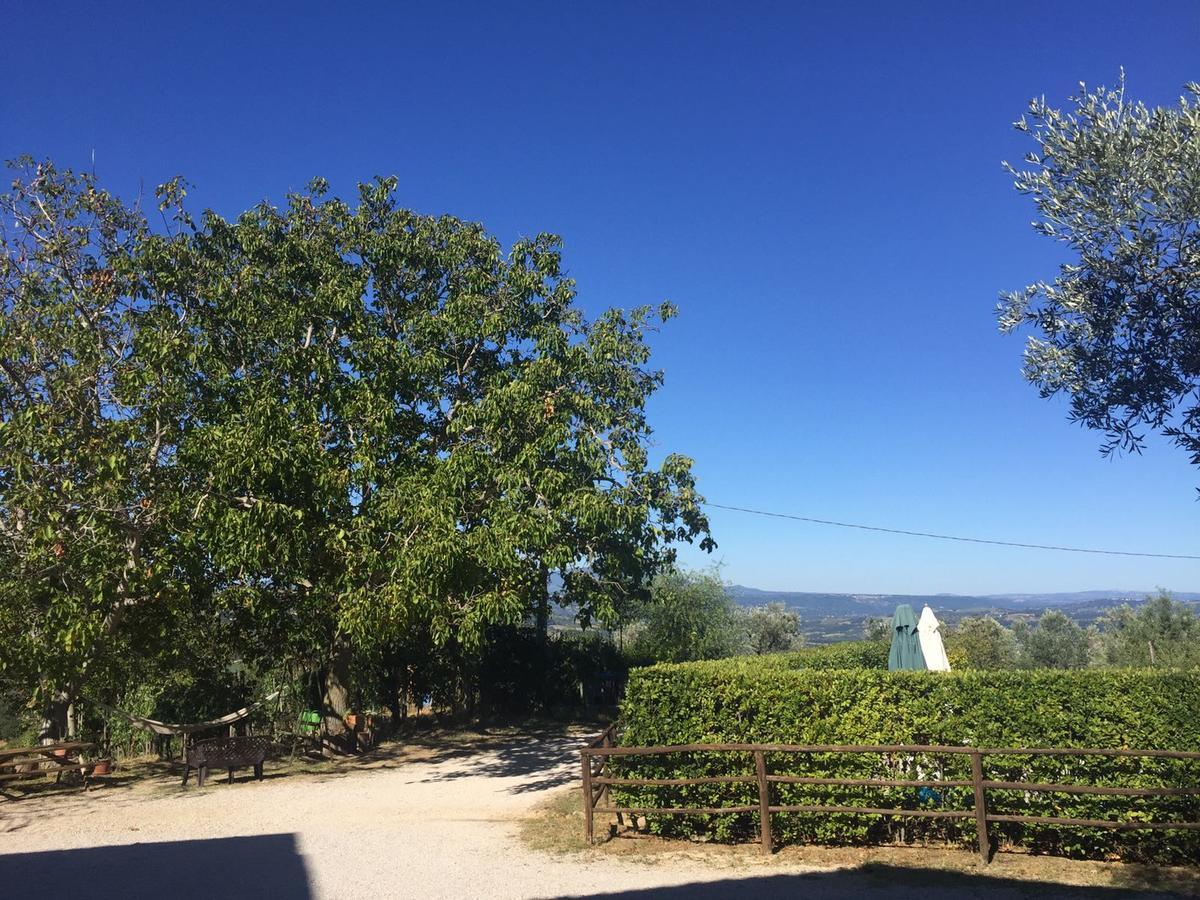 Belvedere Cramaccioli Vigne Exteriér fotografie
